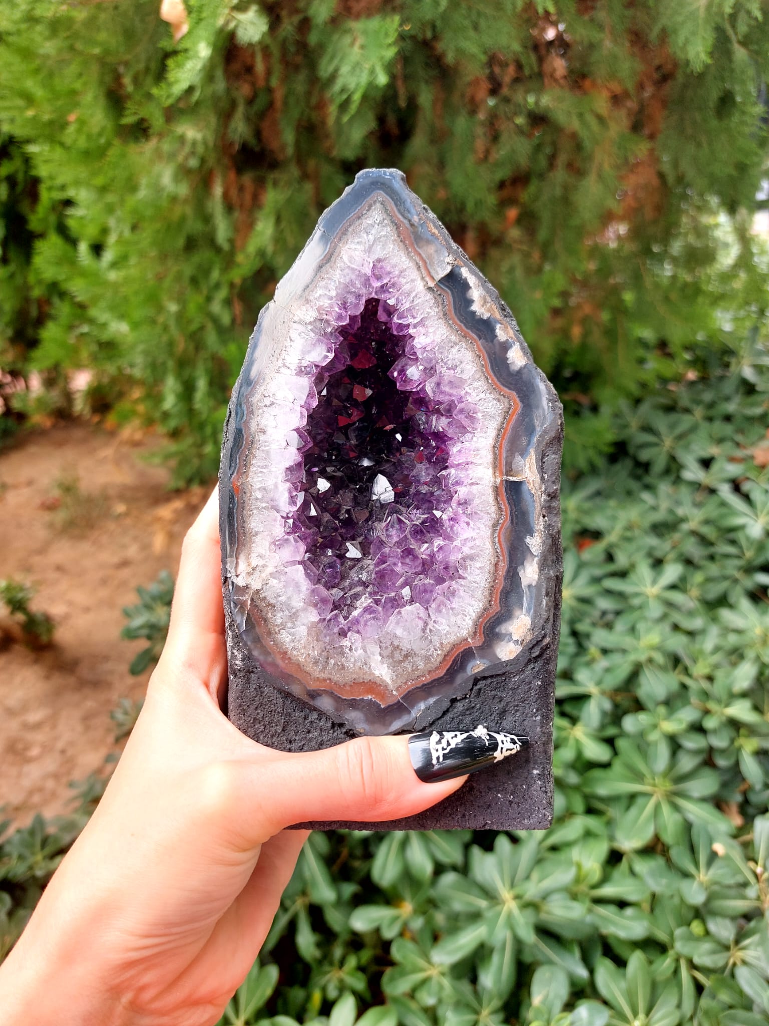 Ametist Koleksiyon Mini Jeot