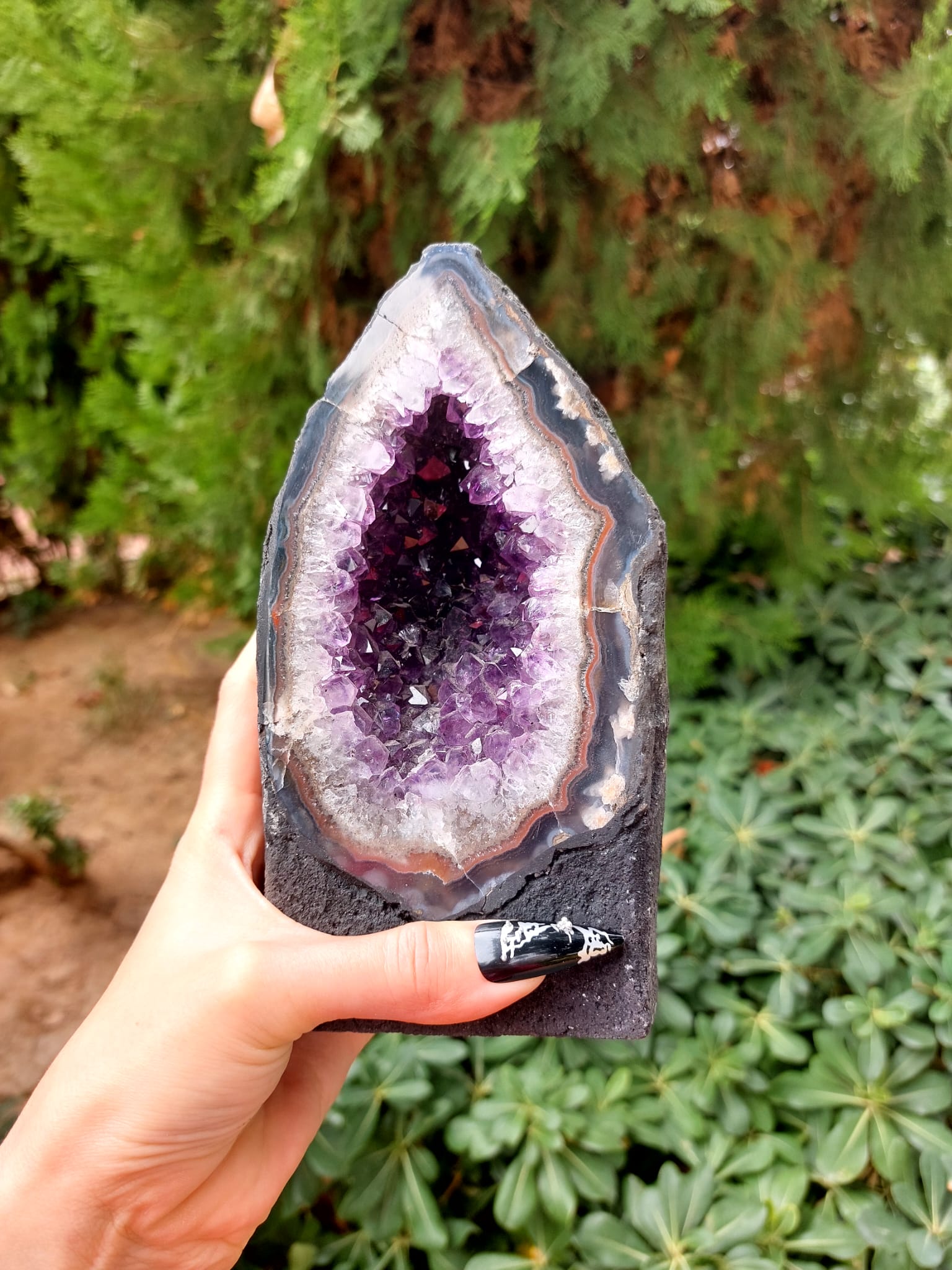 Ametist Koleksiyon Mini Jeot