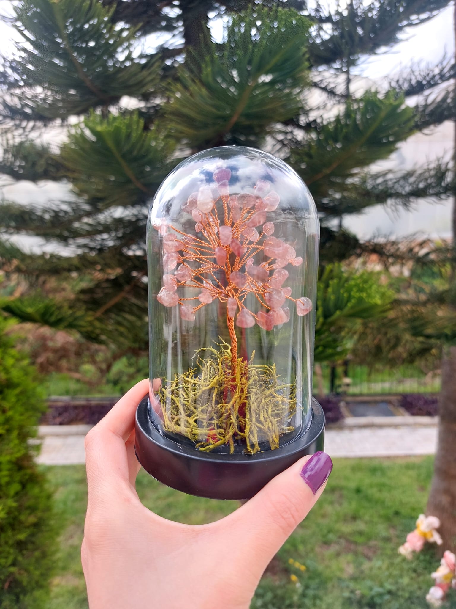 Çilek Kuvars Fanus Hayat Ağacı 13cm