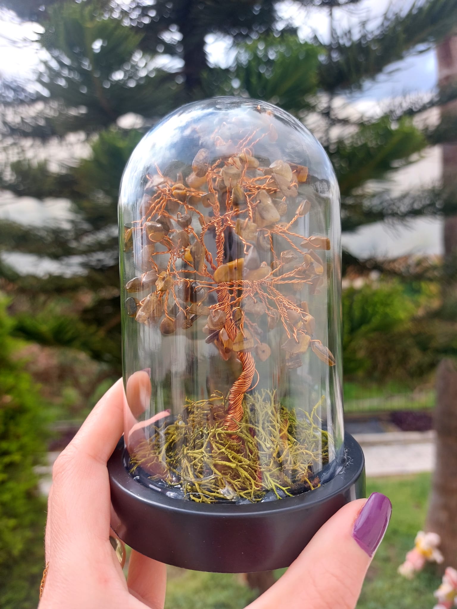 Kaplangözü Fanus Hayat Ağacı 13cm