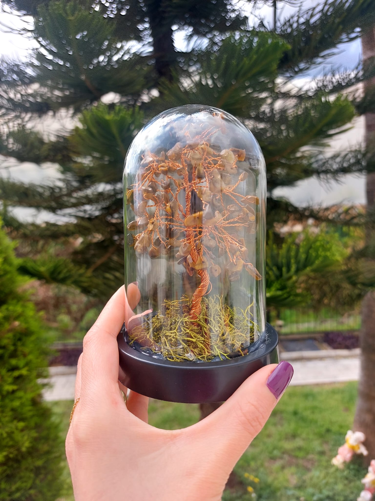 Kaplangözü Fanus Hayat Ağacı 13cm