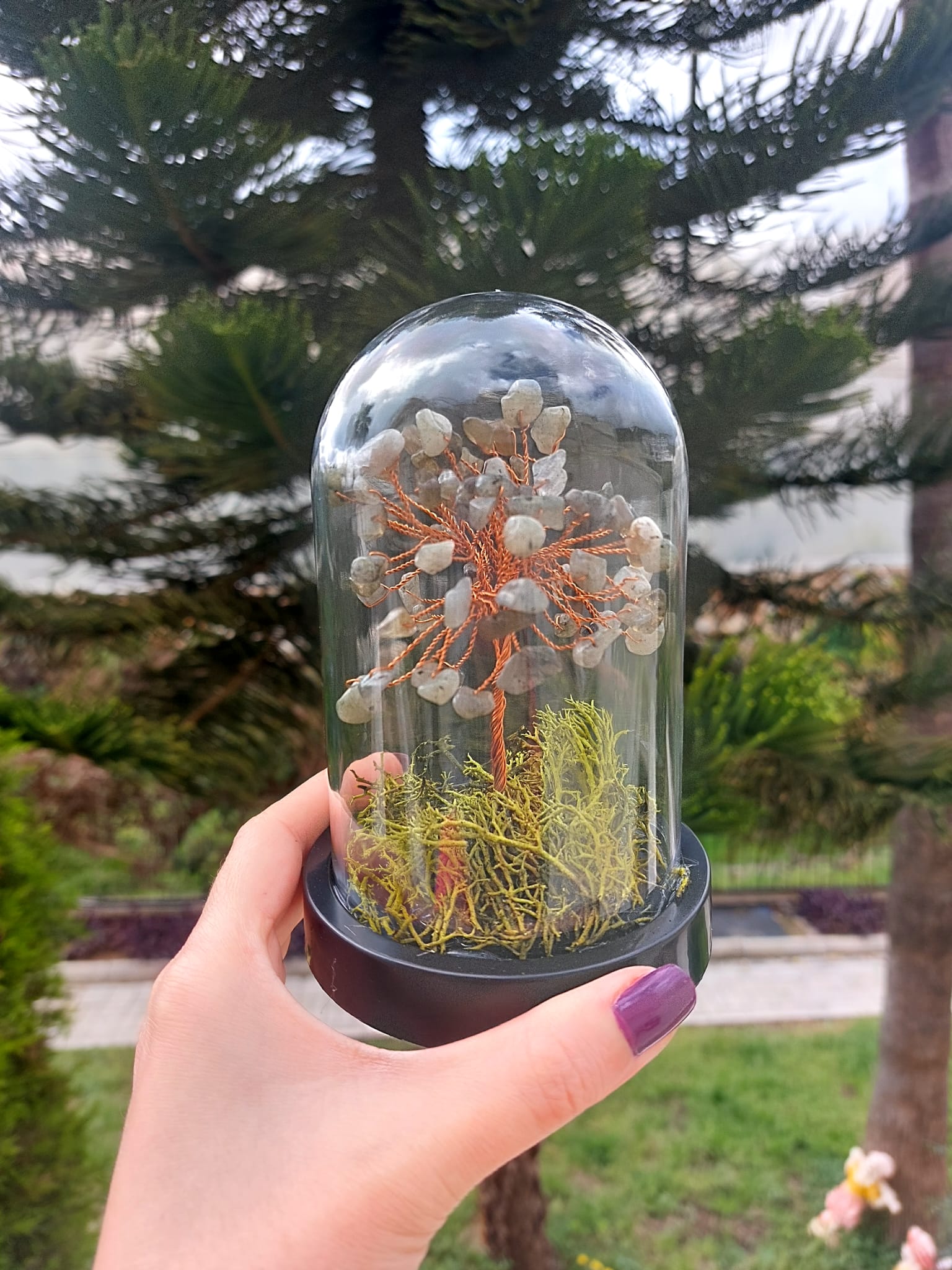 Labradorit Fanus Hayat Ağacı 13cm