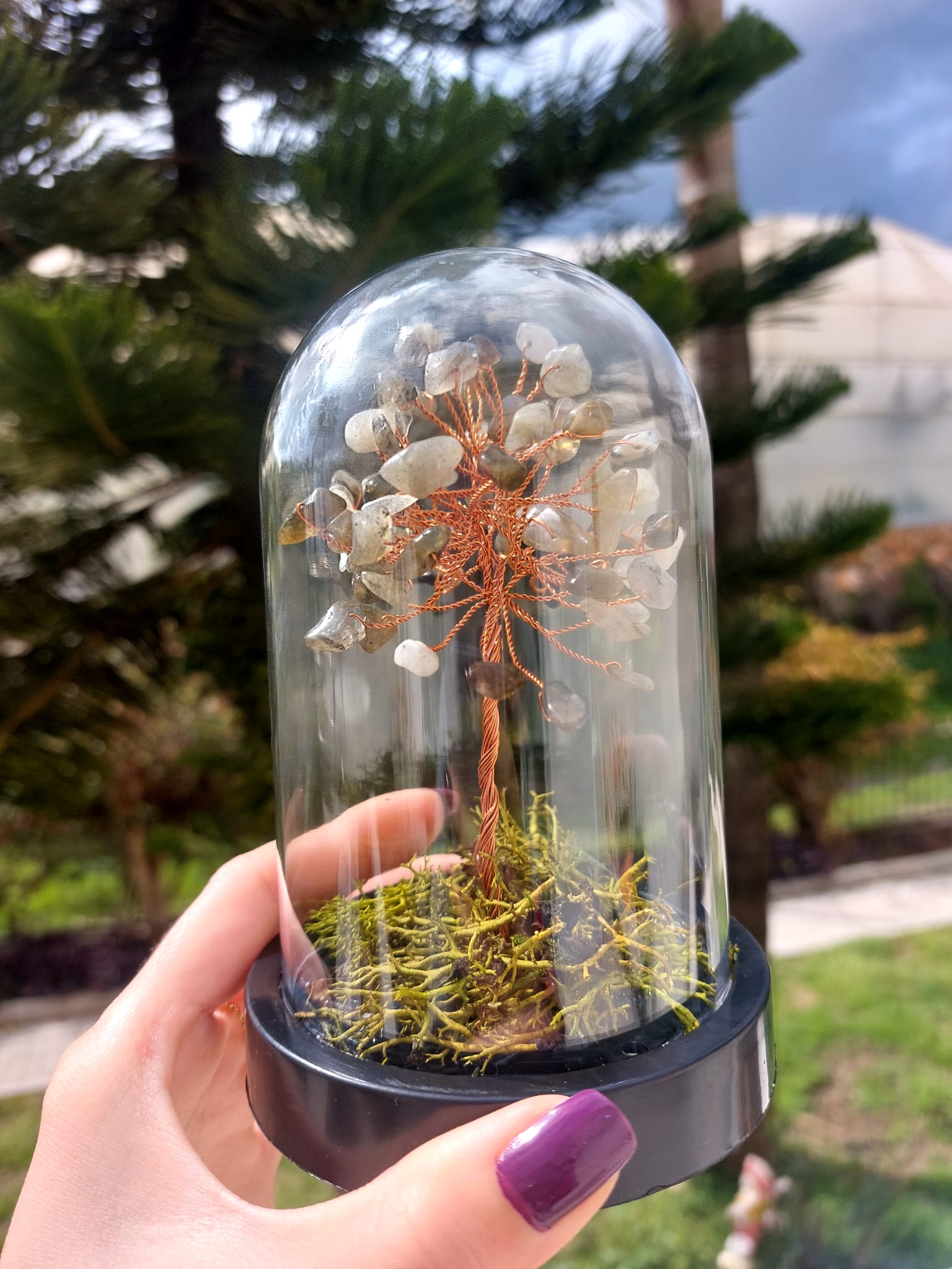 Labradorit Fanus Hayat Ağacı 13cm