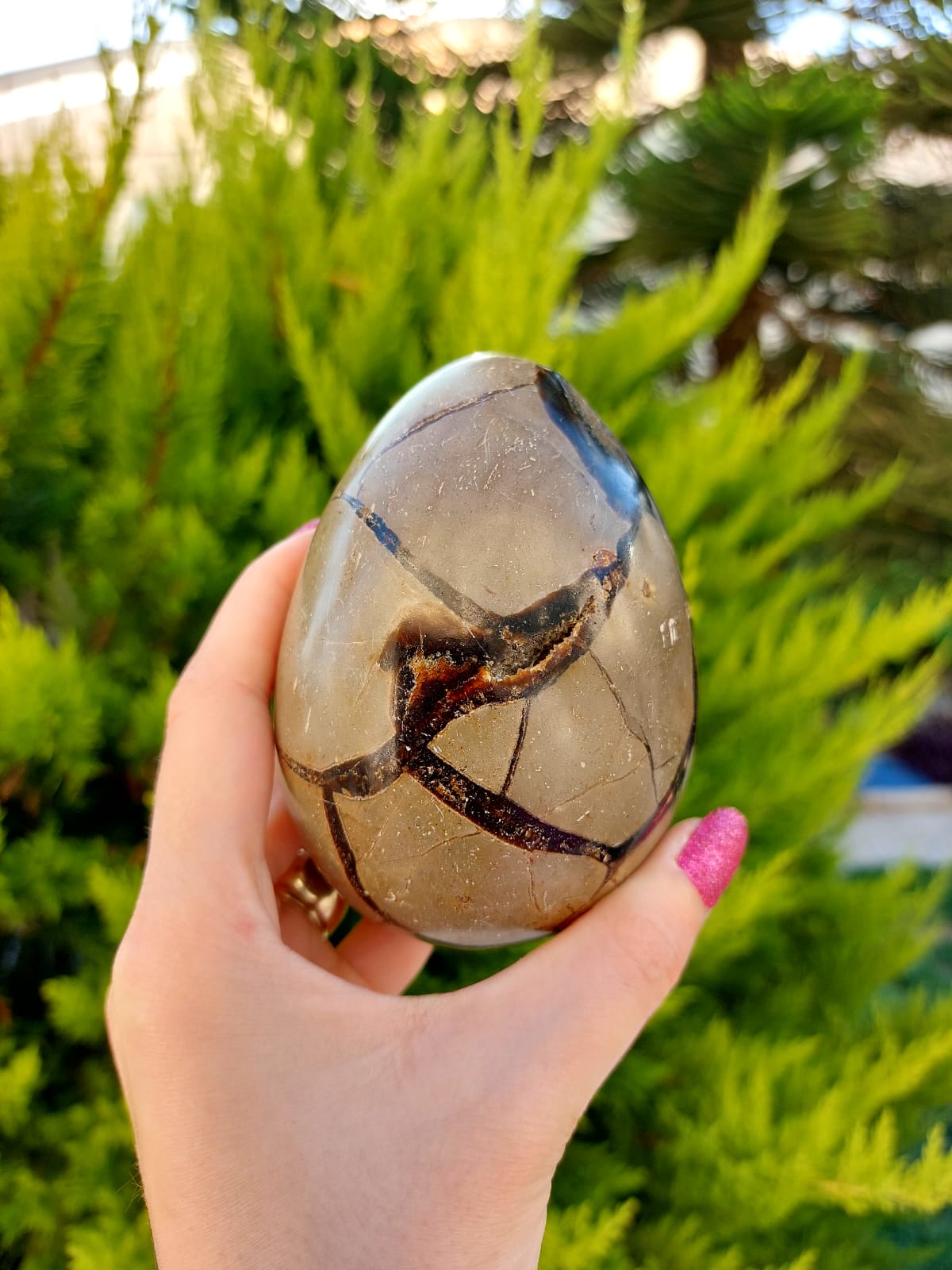 Septeryan (Ejderha Yumurtası) Kaya