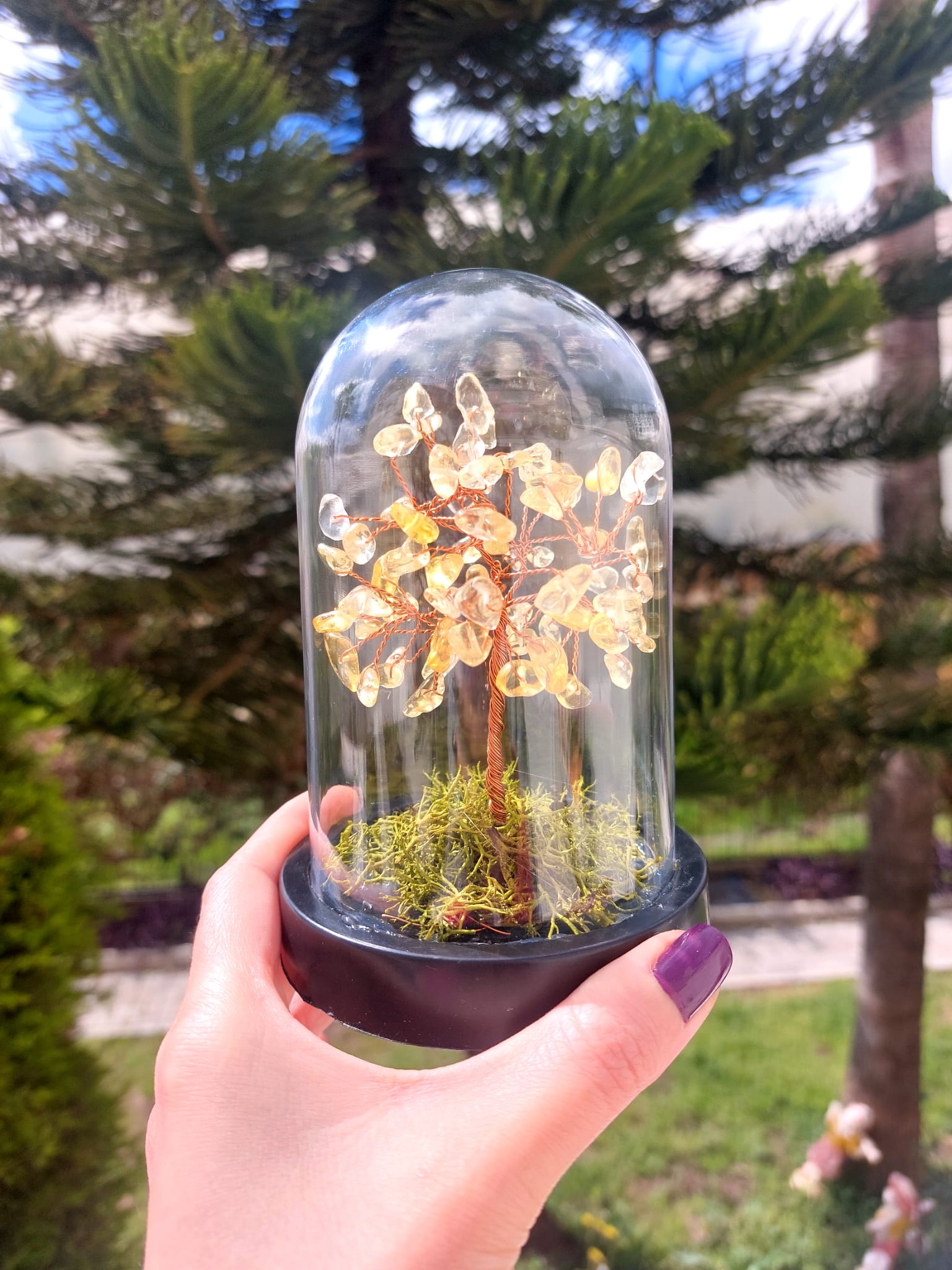 Sitrin Fanus Hayat Ağacı 13cm