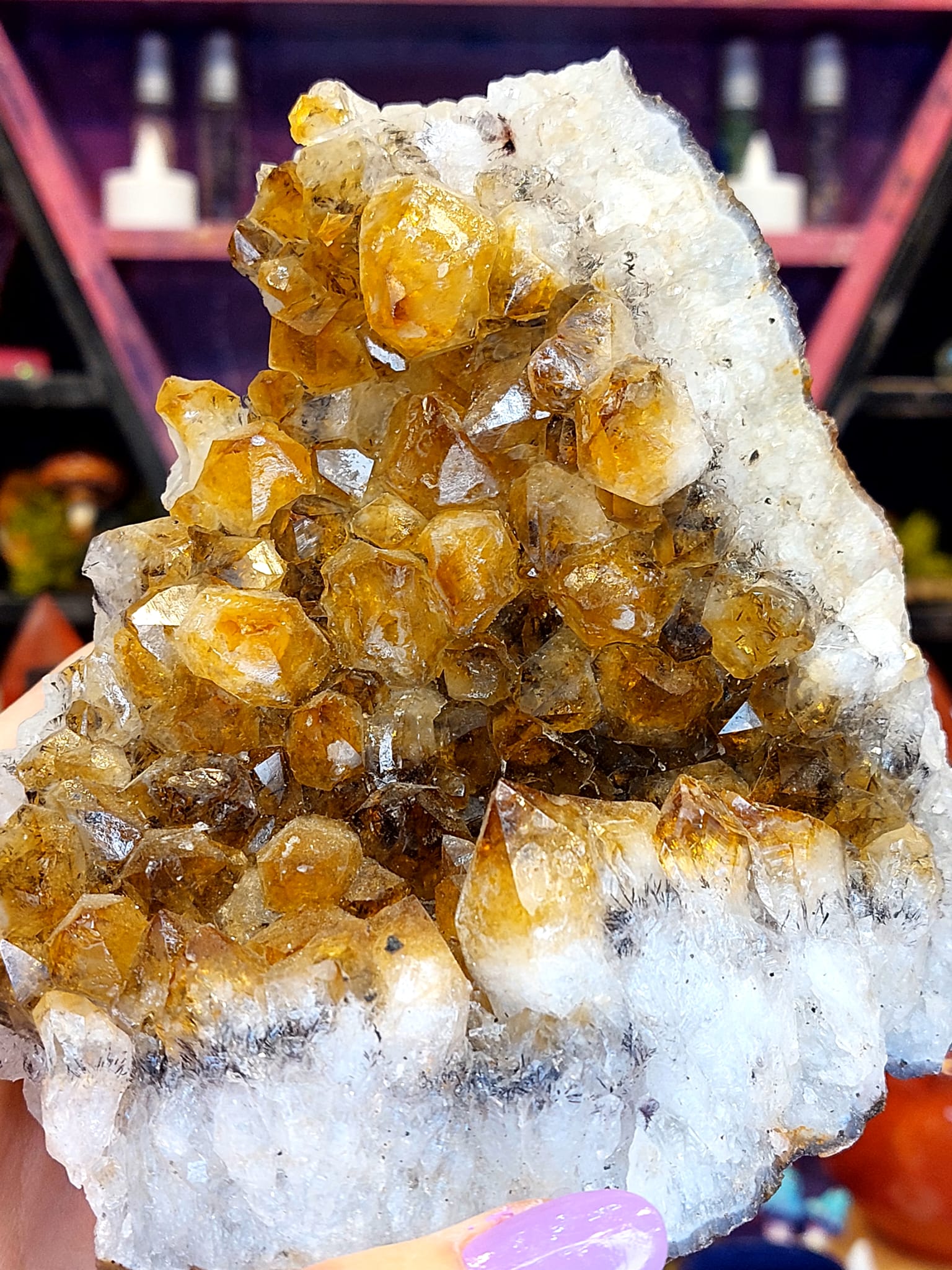 Sitrin Koleksiyonluk Standlı Doğal Kaya