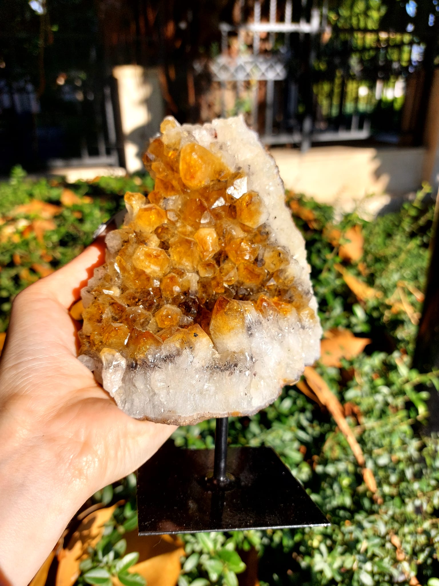 Sitrin Koleksiyonluk Standlı Doğal Kaya