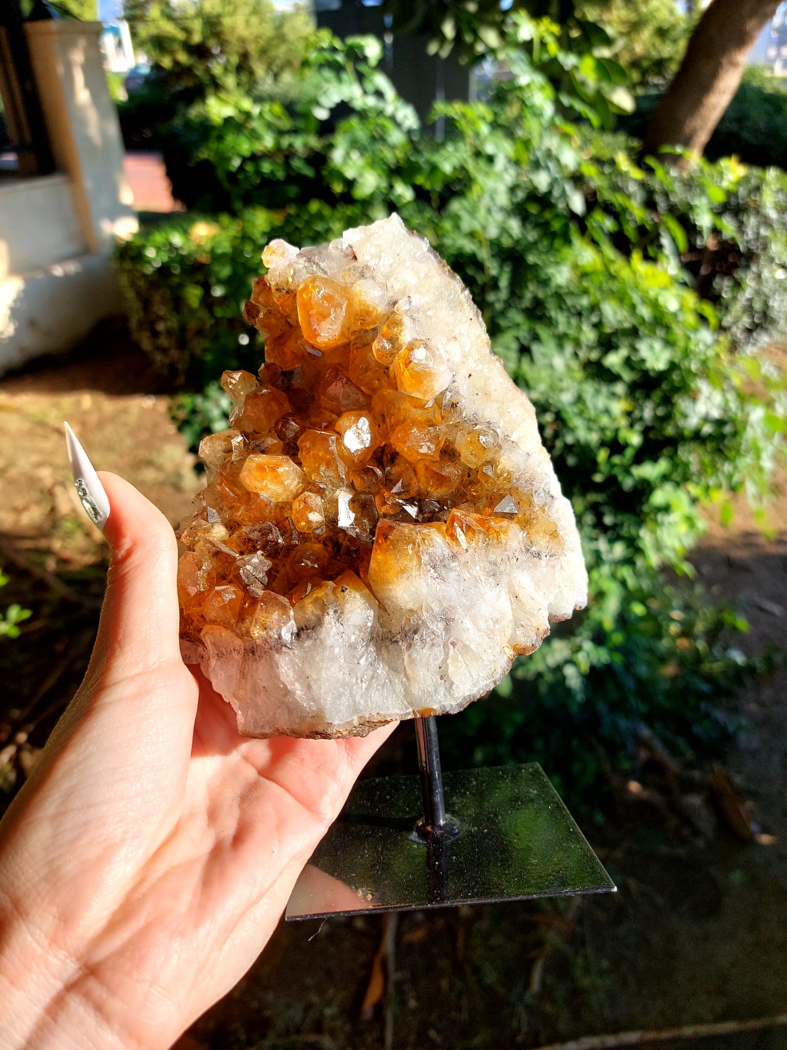 Sitrin Koleksiyonluk Standlı Doğal Kaya