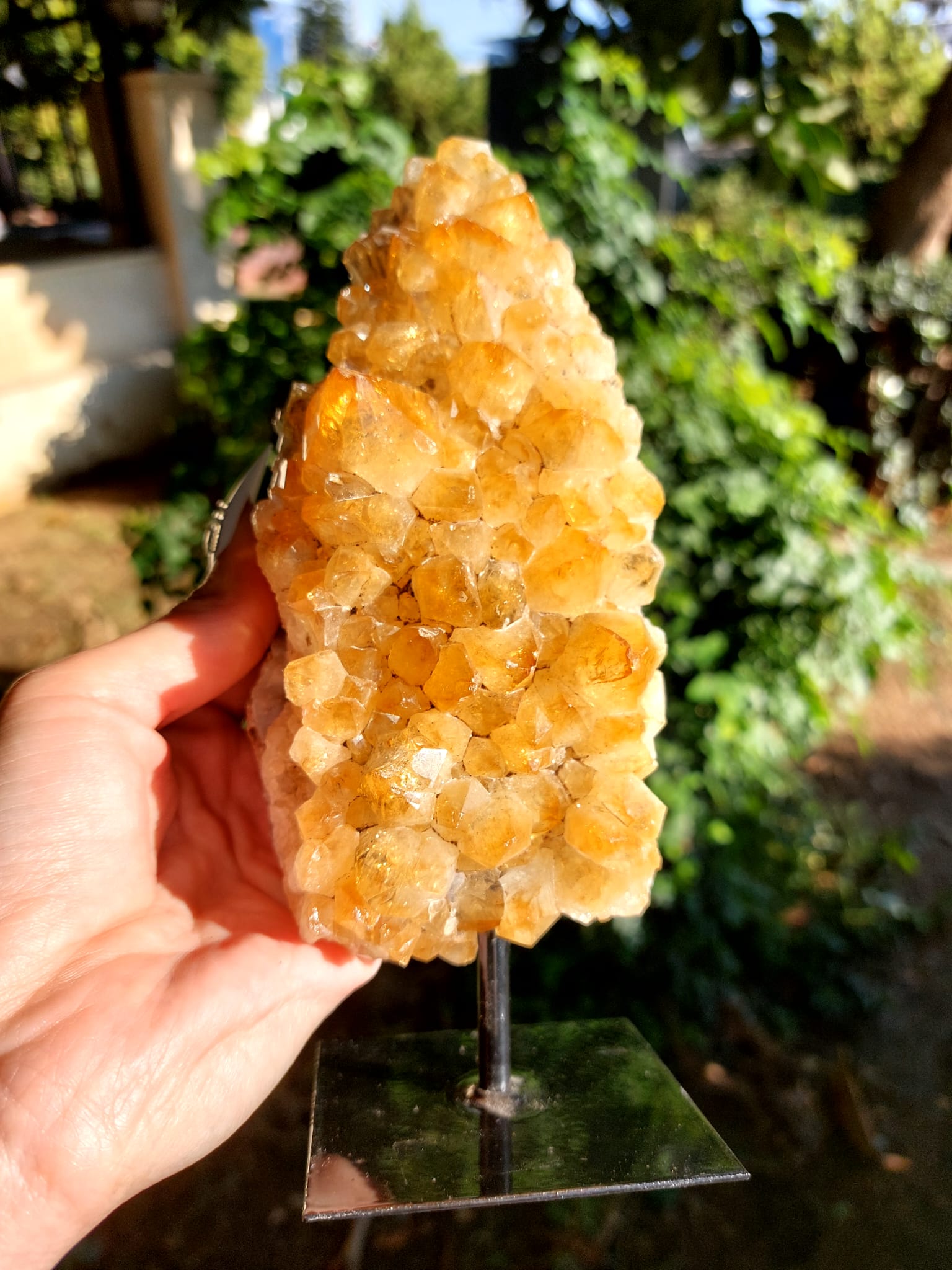 Sitrin Koleksiyonluk Standlı Doğal Kaya