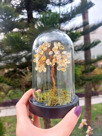 Sitrin Fanus Hayat Ağacı 13cm