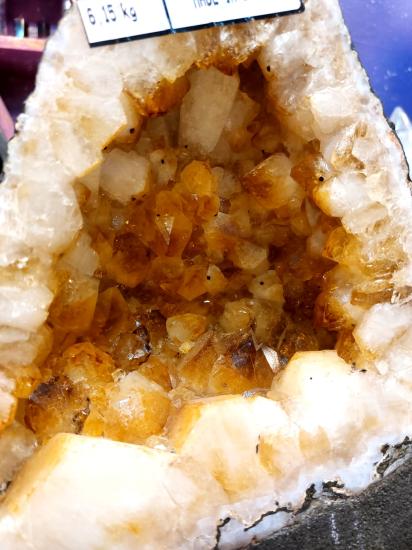 Sitrin Koleksiyon Jeot