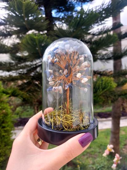 Sodalit Fanus Hayat Ağacı 13cm