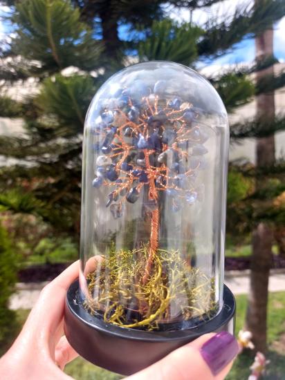 Sodalit Fanus Hayat Ağacı 13cm