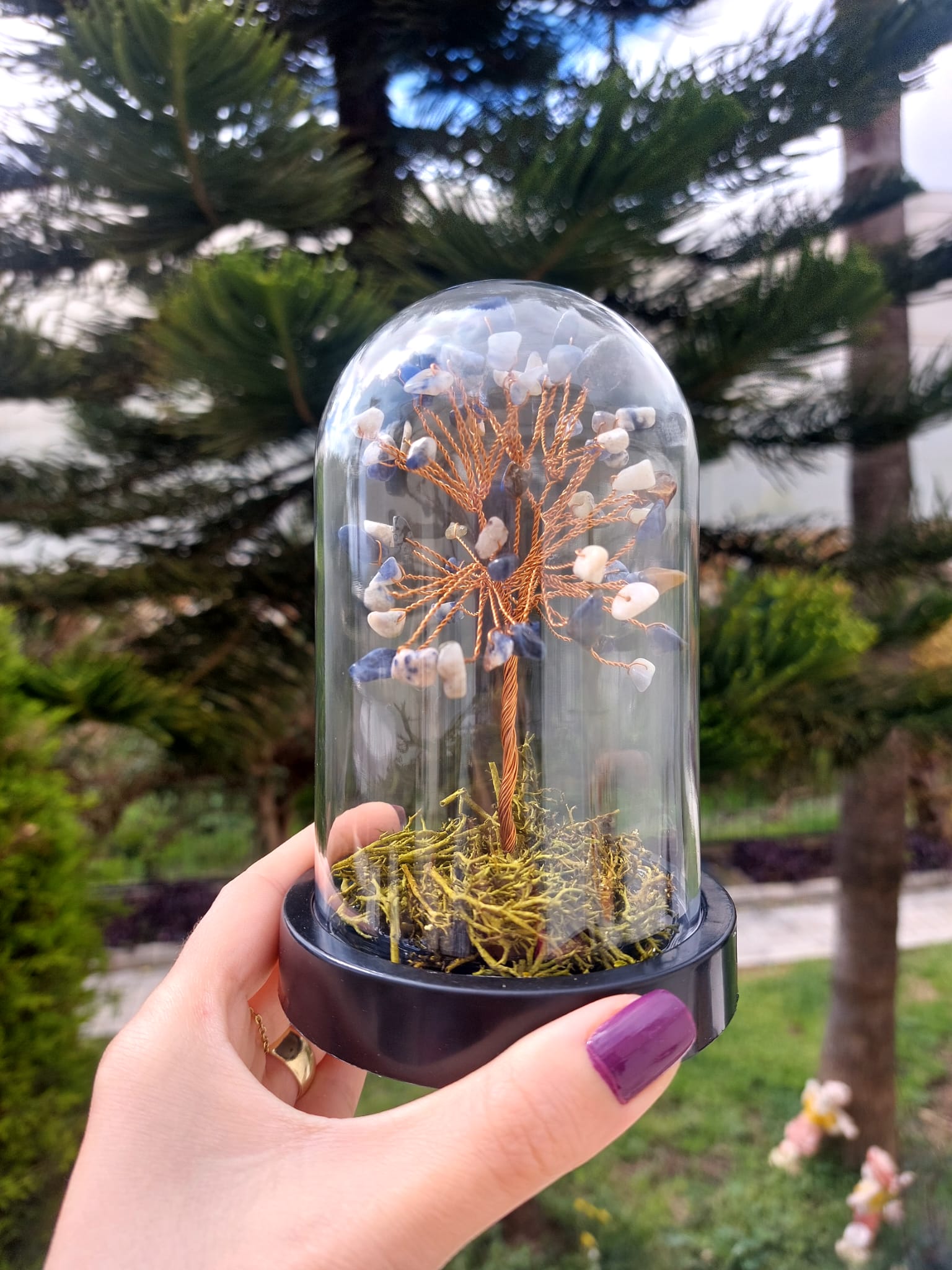 Sodalit Fanus Hayat Ağacı 13cm