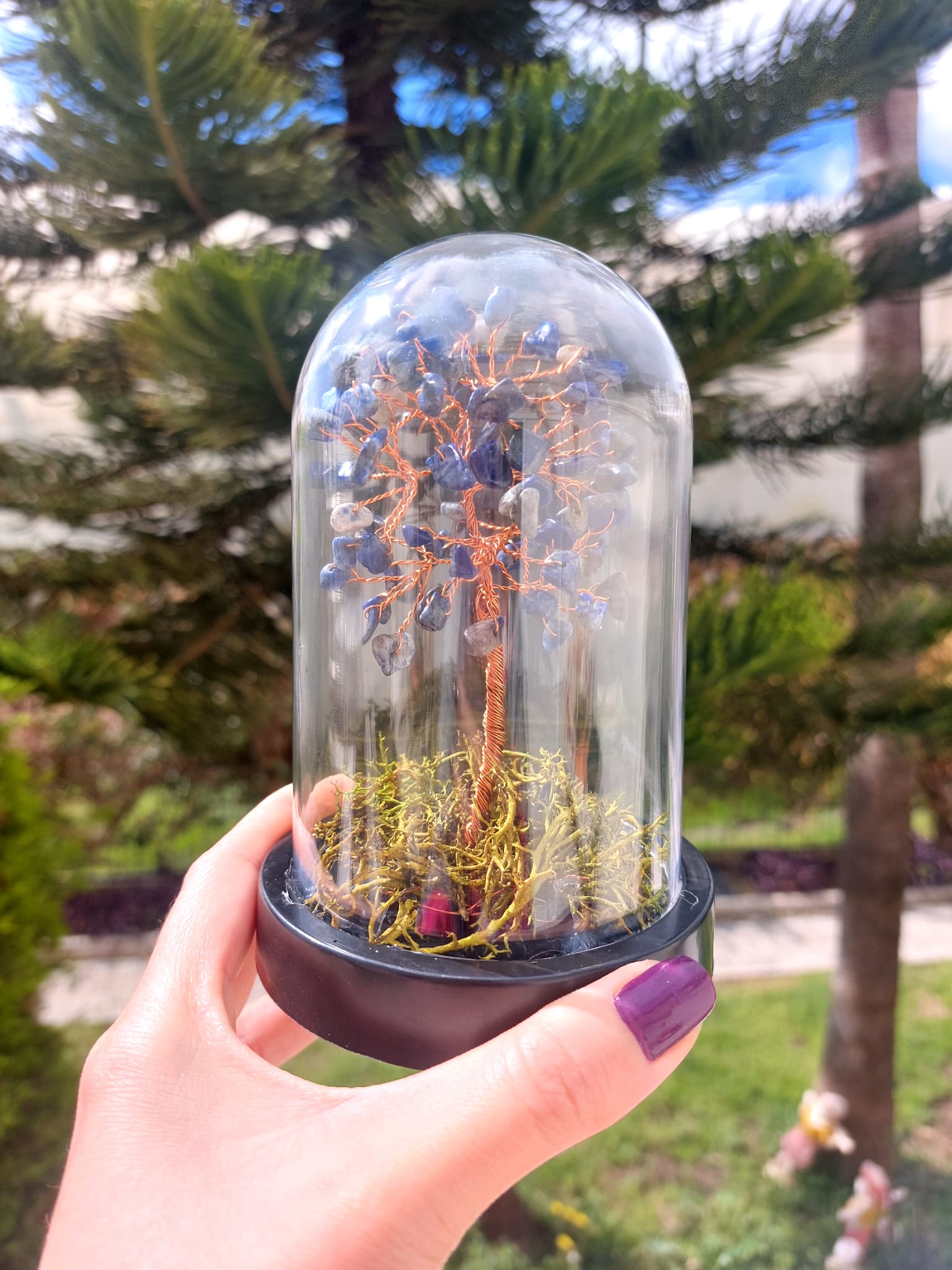 Sodalit Fanus Hayat Ağacı 13cm