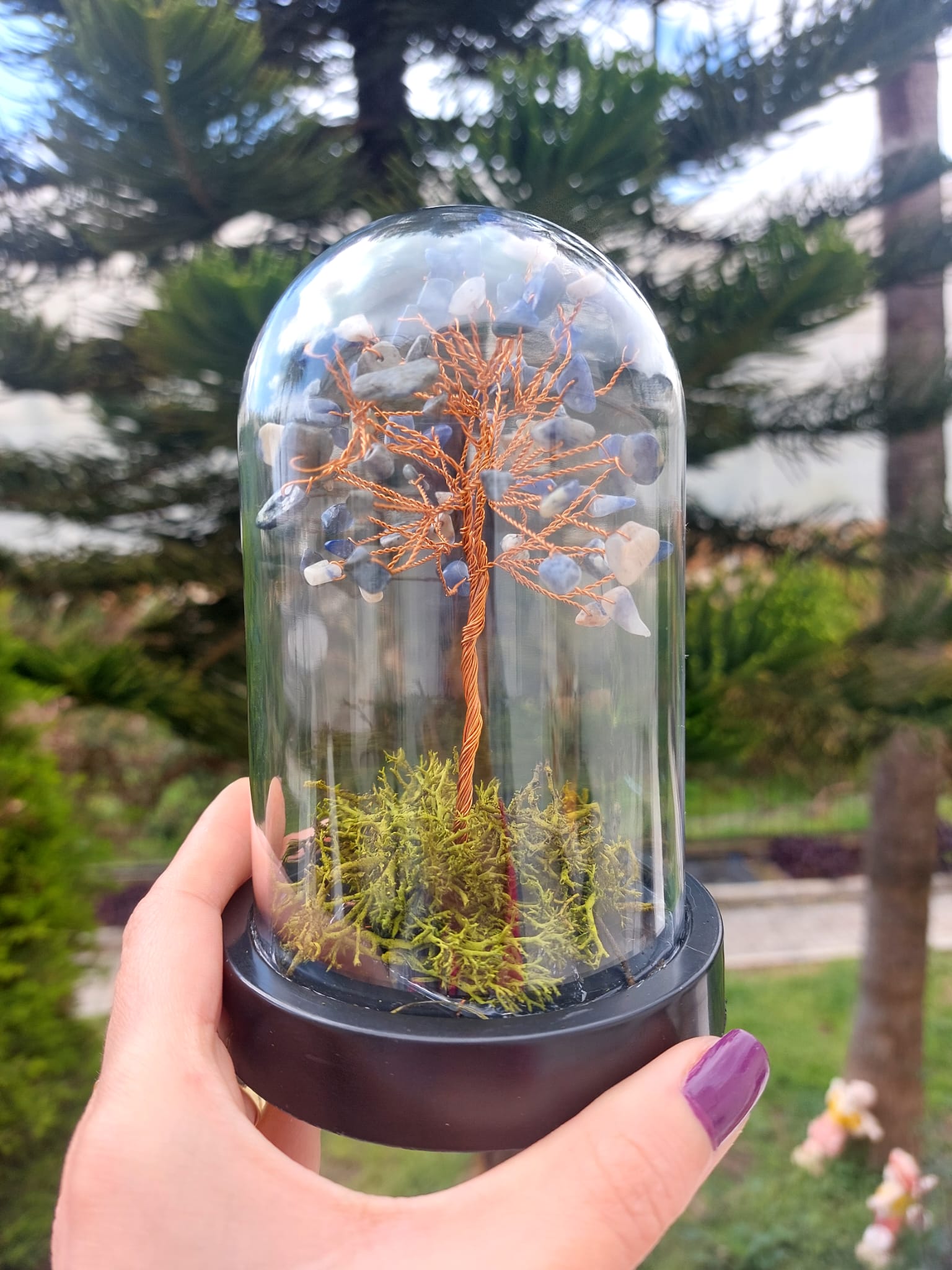 Sodalit Fanus Hayat Ağacı 13cm